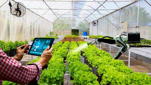 Sử dụng trí tuệ nhân tạo để giải đáp thắc mắc về Tổng điều tra nông thôn, nông nghiệp năm 2025