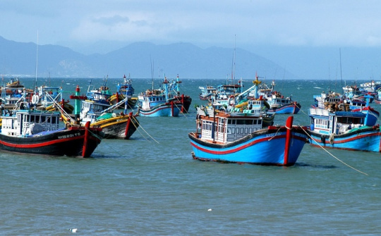 Việt Nam quyết tâm gỡ 'thẻ vàng IUU' của EC: Hành trình khắc phục và phát triển bền vững ngành thủy sản