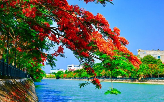 Xây dựng Hải Phòng đúng như kỳ vọng