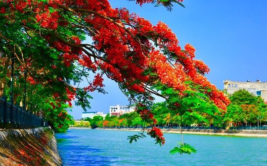 Xây dựng Hải Phòng đúng như kỳ vọng