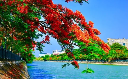 Xây dựng Hải Phòng đúng như kỳ vọng