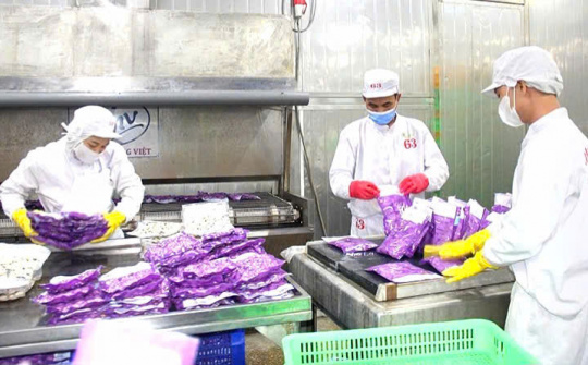 Thanh Hóa: Đạt nhiều kết quả quan trọng trong hội nhập kinh tế quốc tế