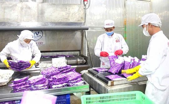 Thanh Hóa: Đạt nhiều kết quả quan trọng trong hội nhập kinh tế quốc tế