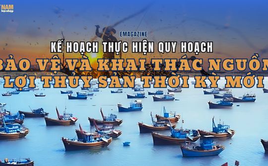 Kế hoạch thực hiện quy hoạch bảo vệ và khai thác nguồn lợi thủy sản thời kỳ mới