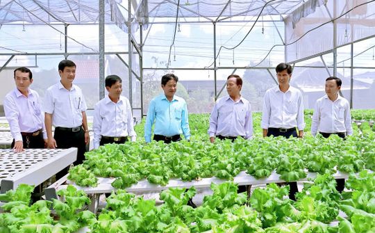Nông thôn khởi sắc trên quê hương Phước Vân