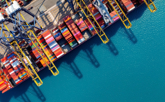 Vietnam's exports navigate new challenges and opportunities in 2025