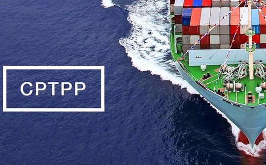 Quy định mới về thuế xuất nhập khẩu ưu đãi của Việt Nam thực hiện Hiệp định CPTPP