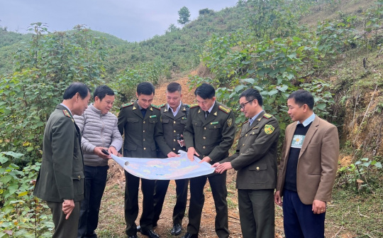 Chi cục Kiểm lâm Thái Nguyên: Nâng cao vai trò quản lý, bảo vệ và phát triển rừng