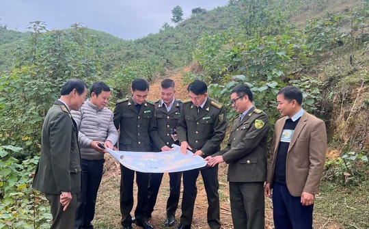 Chi cục Kiểm lâm Thái Nguyên: Nâng cao vai trò quản lý, bảo vệ và phát triển rừng