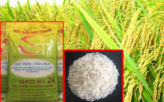 Nâng cao thương hiệu Việt Nam: Hành trình hội nhập và tỏa sáng toàn cầu