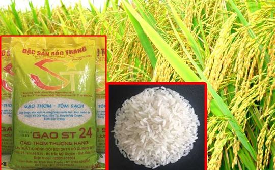 Nâng cao thương hiệu Việt Nam: Hành trình hội nhập và tỏa sáng toàn cầu