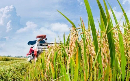 Gỡ nút thắt xử lý rác thải độc hại trong sản xuất nông nghiệp: Hướng tới phát triển bền vững