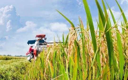 Gỡ nút thắt xử lý rác thải độc hại trong sản xuất nông nghiệp: Hướng tới phát triển bền vững