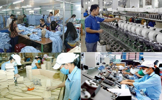 An Giang: Phát huy vai trò kinh tế tư nhân – Động lực quan trọng cho phát triển bền vững