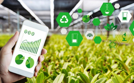 Khoảng cách số ở nông thôn: Thách thức từ hạ tầng đến tri thức số