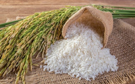 Khẳng định thương hiệu gạo Việt trên những thị trường tiềm năng