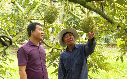 Tây Ninh: Nỗ lực nhân rộng HTX kiểu mới, hướng đến phát triển bền vững và số hóa