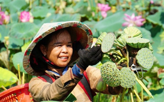 Đồng Tháp: Hướng đến nền nông nghiệp xanh, bền vững