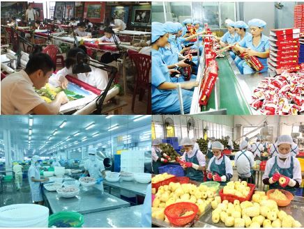 Kinh tế tư nhân – Động lực nội sinh thúc đẩy phát triển bền vững của Thanh Hóa trong thời kỳ công nghiệp hóa, hiện đại hóa