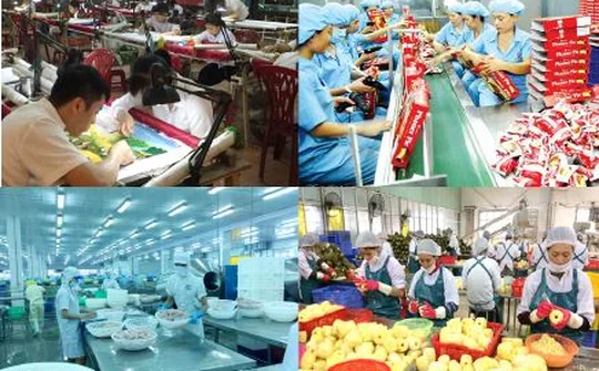 Kinh tế tư nhân – Động lực nội sinh thúc đẩy phát triển bền vững của Thanh Hóa trong thời kỳ công nghiệp hóa, hiện đại hóa