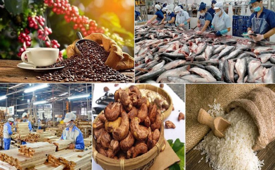 Mở đường cho nông sản bằng sức mạnh công cụ thị trường