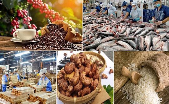 Mở đường cho nông sản bằng sức mạnh công cụ thị trường