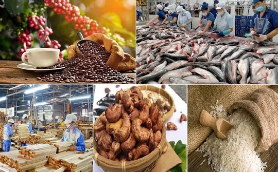 Mở đường cho nông sản bằng sức mạnh công cụ thị trường