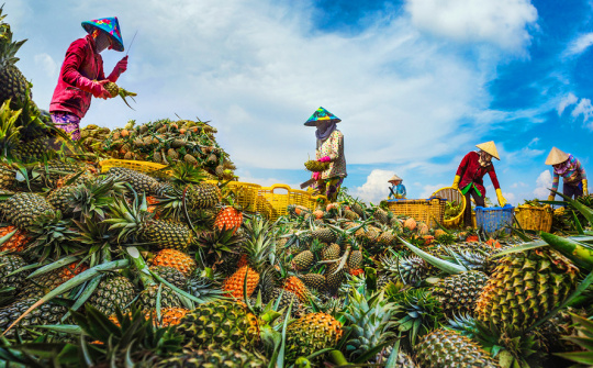 Quản trị hiệu quả nguồn lực – Nền tảng chiến lược hướng tới mục tiêu giảm nghèo bền vững ở Việt Nam