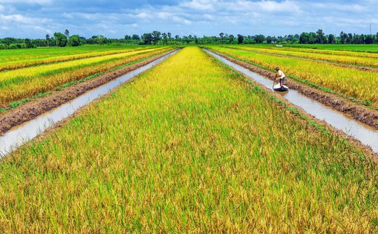 Phát triển nông nghiệp bền vững trong bối cảnh biến đổi khí hậu: Thách thức và Giải pháp thích ứng