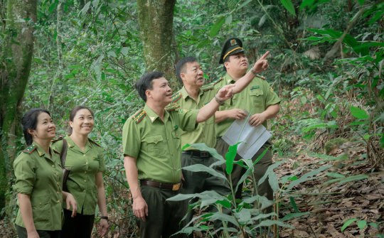 Giữ màu xanh đại ngàn – Dấu ấn bền bỉ của lực lượng Kiểm lâm Thái Nguyên