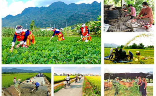 Tập trung xây dựng nông thôn mới nâng cao: Bảo đảm phát triển hài hòa giữa kinh tế, văn hóa và môi trường nông thôn