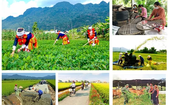 Tập trung xây dựng nông thôn mới nâng cao: Bảo đảm phát triển hài hòa giữa kinh tế, văn hóa và môi trường nông thôn