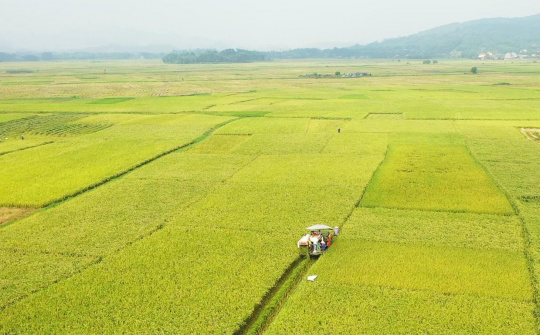 Thái Nguyên tăng tốc thực hiện chương trình giảm nghèo bền vững đến năm 2030