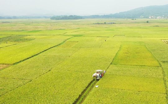 Thái Nguyên tăng tốc thực hiện chương trình giảm nghèo bền vững đến năm 2030
