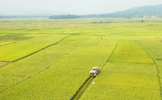 Thái Nguyên tăng tốc thực hiện chương trình giảm nghèo bền vững đến năm 2030