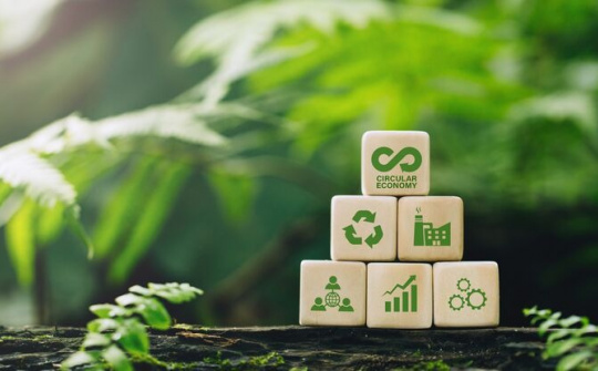 Advancing circular waste solutions and potential of co-processing in Viet Nam