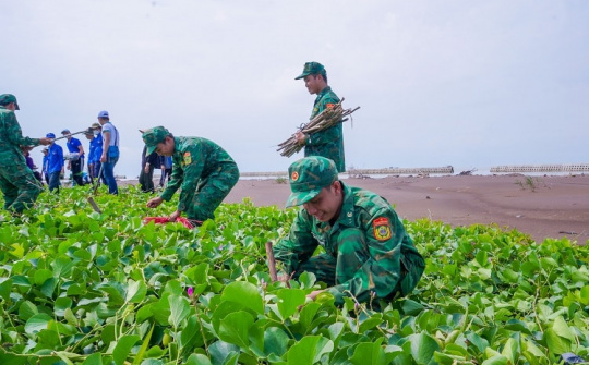 Trồng rừng ven biển: Lá chắn chống bão, bệ đỡ sinh kế ngư dân