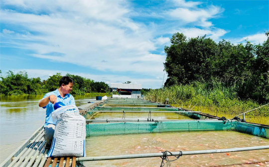 Đồng Nai phát huy tiềm năng thủy sản, tạo động lực mới cho kinh tế nông thôn