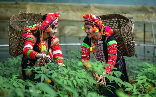 Đưa nông sản vùng cao gần hơn với người tiêu dùng