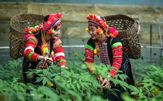 Đưa nông sản vùng cao gần hơn với người tiêu dùng