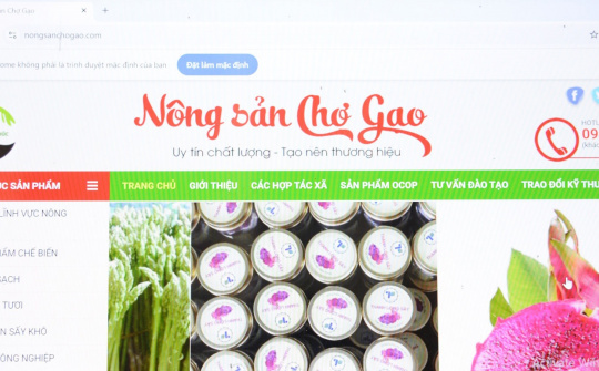 Đồng Tháp: Đẩy mạnh thương mại điện tử, tạo bước đột phá cho sản phẩm địa phương