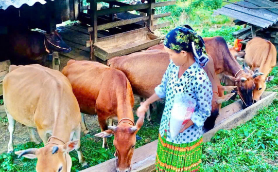 Xã Cao Minh (Thái Nguyên): Hành trình đổi thay từ nghèo khó đến phát triển