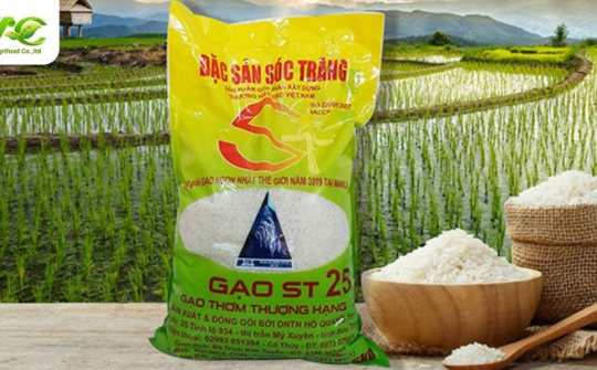 ST25 – niềm tự hào gạo Việt tiếp tục tỏa sáng trên bảng vàng thế giới