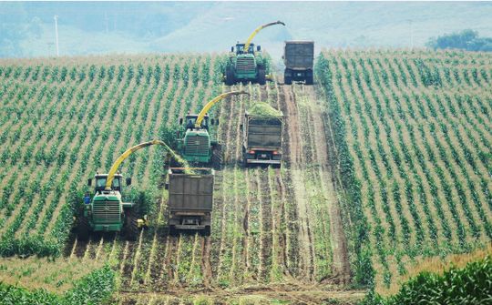 Thúc đẩy kinh tế tư nhân trở thành động lực tăng trưởng bền vững