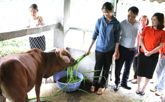 Thái Nguyên: Trao sinh kế mở lối cho phụ nữ dân tộc thiểu số vươn lên