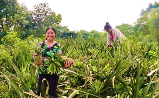 Tỉnh Phú Thọ tích cực thực hiện chính sách hỗ trợ vùng khó khăn, đồng bào dân tộc thiểu số vì mục tiêu phát triển chung