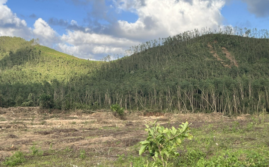 Vân Canh chủ động ứng phó, khẩn trương khắc phục thiệt hại sau bão số 13