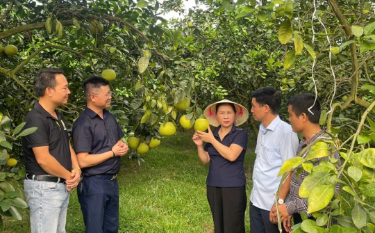 Khuyến nông Hà Tĩnh: 80 năm hành trình dệt nên những mùa vàng bội thu