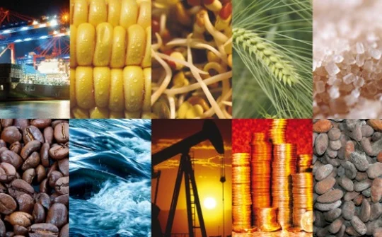 Ứng dụng công nghệ số trong quản lý và thực hiện pháp luật về mua bán hàng hóa qua sở giao dịch hàng hóa