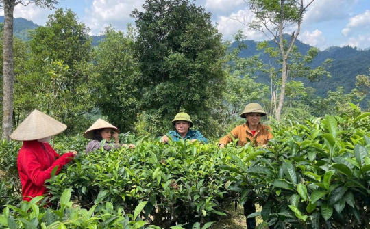 Thái Nguyên: Đa dạng hóa sinh kế để giảm nghèo bền vững